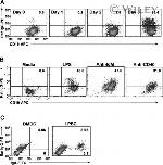 CD19 Antibody in Flow Cytometry (Flow)