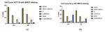 Survivin Antibody in Flow Cytometry (Flow)