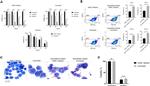 CD14 Antibody in Flow Cytometry (Flow)