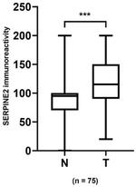 SERPINE2 Antibody in Immunohistochemistry (IHC)