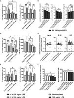 IL-1 beta Antibody in Immunocytochemistry, Flow Cytometry (ICC/IF, Flow)