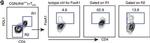 Rat IgG2a kappa Isotype Control in Flow Cytometry (Flow)