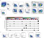 CD223 (LAG-3) Antibody in Flow Cytometry (Flow)