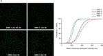 Mouse IgG (H+L) Highly Cross-Adsorbed Secondary Antibody in Immunohistochemistry (Frozen) (IHC (F))