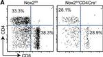 Rat IgG (H+L) Cross-Adsorbed Secondary Antibody in Flow Cytometry (Flow)