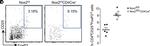 Rat IgG (H+L) Cross-Adsorbed Secondary Antibody in Flow Cytometry (Flow)