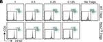 Rat IgG (H+L) Cross-Adsorbed Secondary Antibody in Flow Cytometry (Flow)