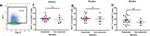 Human IgG4 Fc Secondary Antibody in Flow Cytometry (Flow)