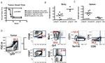 CD47 Antibody in Flow Cytometry (Flow)