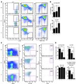 CD41a Antibody in Flow Cytometry (Flow)