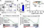 CD27 Antibody in Flow Cytometry (Flow)