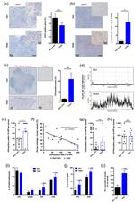 CD4 Antibody in Immunohistochemistry, Flow Cytometry (IHC, Flow)