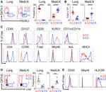 AIRE Antibody in Flow Cytometry (Flow)