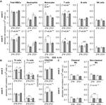 CD4 Antibody in Flow Cytometry (Flow)