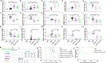 CD4 Antibody in Flow Cytometry (Flow)