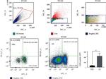 CD4 Antibody in Flow Cytometry (Flow)