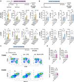 CD4 Antibody in Flow Cytometry (Flow)