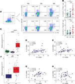 IFN gamma Antibody in Flow Cytometry (Flow)