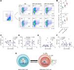 IFN gamma Antibody in Flow Cytometry (Flow)