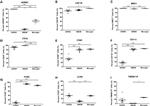 CD11b Antibody in Flow Cytometry (Flow)