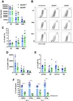 CD11c Antibody in Flow Cytometry (Flow)