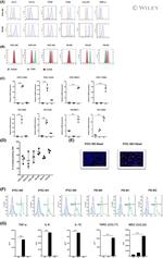 CD14 Antibody in Flow Cytometry (Flow)