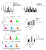 CD206 (MMR) Antibody in Flow Cytometry (Flow)