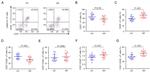 CD28 Antibody in Flow Cytometry (Flow)