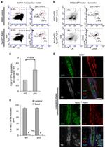 CD29 (Integrin beta 1) Antibody in Flow Cytometry (Flow)