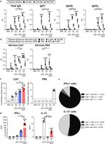 IL-13 Antibody in Flow Cytometry (Flow)