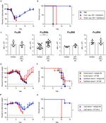 CD32b Antibody in Flow Cytometry (Flow)