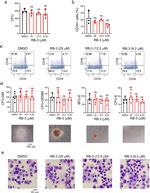 CD38 Antibody in Flow Cytometry (Flow)