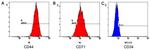 CD44 Antibody in Flow Cytometry (Flow)