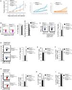 IL-4 Antibody in Flow Cytometry (Flow)