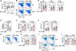 CD44 Antibody in Flow Cytometry (Flow)