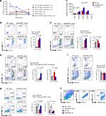 CD45 Antibody in Flow Cytometry (Flow)