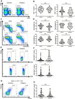 CD69 Antibody in Flow Cytometry (Flow)