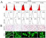 CD105 (Endoglin) Antibody in Flow Cytometry (Flow)