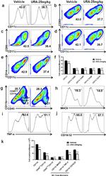 CD80 (B7-1) Antibody in Flow Cytometry (Flow)