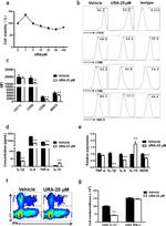 CD80 (B7-1) Antibody in Flow Cytometry (Flow)