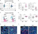 CD86 (B7-2) Antibody in Flow Cytometry (Flow)