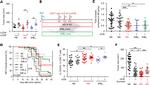 CD183 (CXCR3) Antibody in Flow Cytometry (Flow)