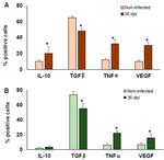 TNF alpha Antibody in Flow Cytometry (Flow)