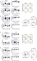 EOMES Antibody in Flow Cytometry (Flow)