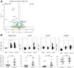 EOMES Antibody in Flow Cytometry (Flow)