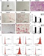 MHC Class II (I-A/I-E) Antibody in Flow Cytometry (Flow)