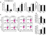 FOXP3 Antibody in Flow Cytometry (Flow)