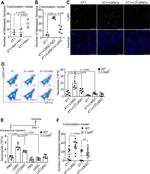 Ly-6G/Ly-6C Antibody in Flow Cytometry (Flow)