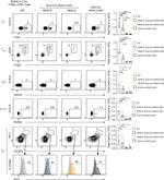 Gata-3 Antibody in Flow Cytometry (Flow)