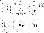 Syk Antibody in Flow Cytometry (Flow)